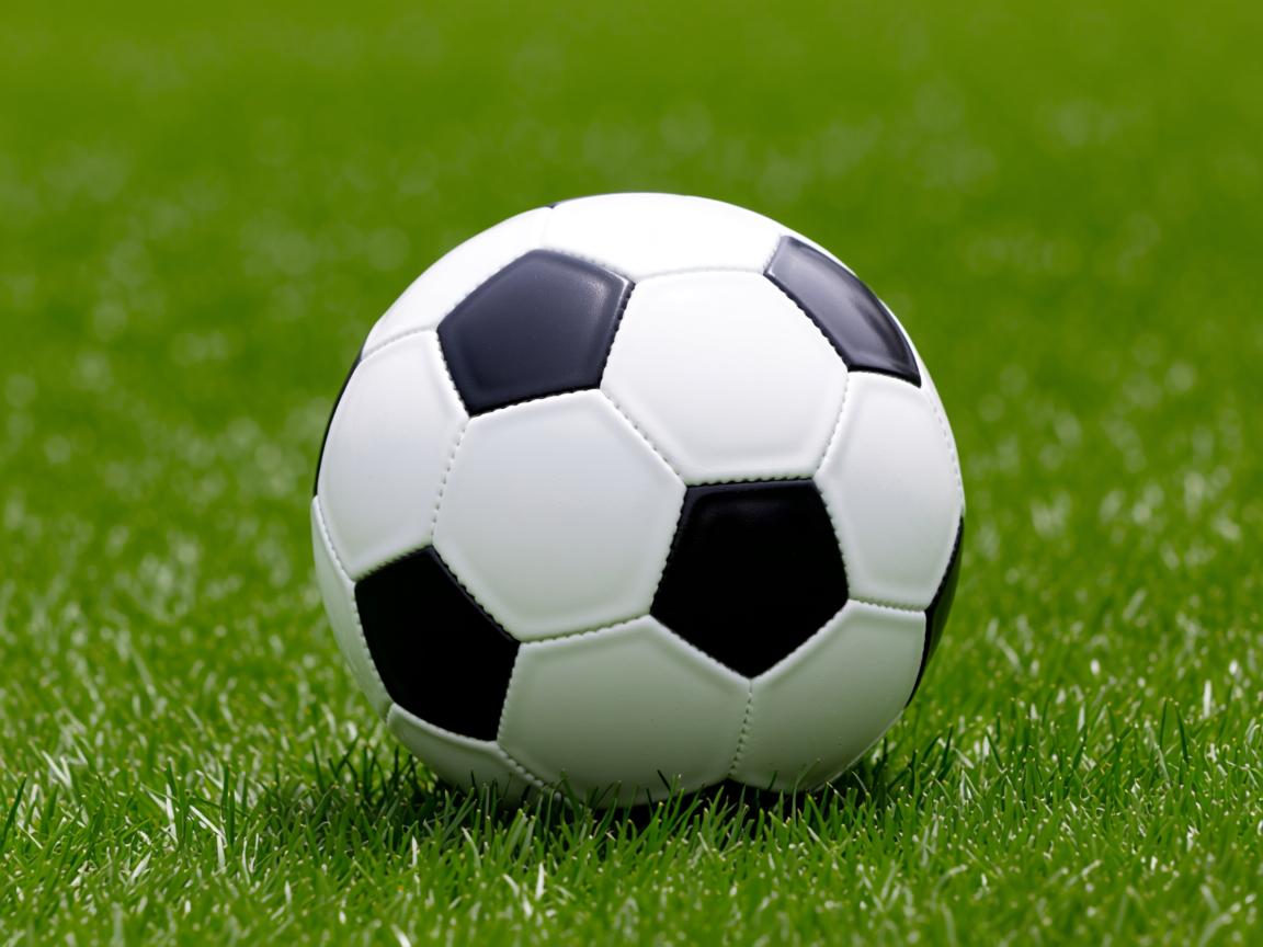 开云官方网-Chinese Taipei出色表现，2024年世界杯赛场表现分析，2024年足球世界杯