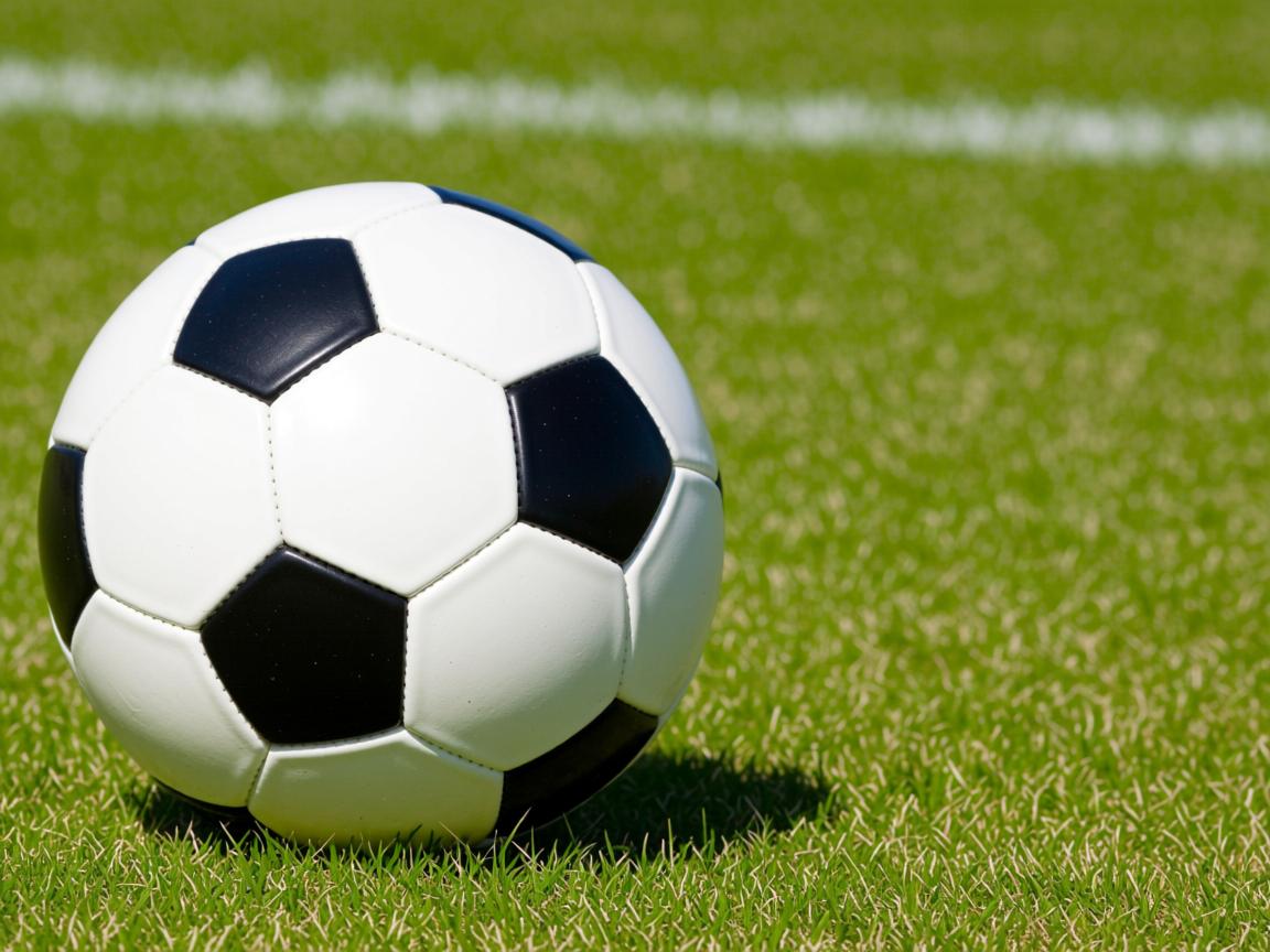 开云官网-中国香港队赛制解析:团体赛制下的战略调整与技术应用,香港队伍 第2张