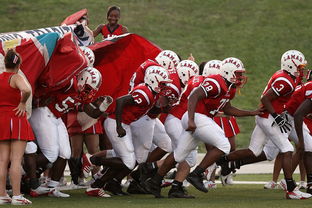 kaiyun网址-国际热身赛中国青年队战胜 球迷现场助威不断，热身赛国足  第3张